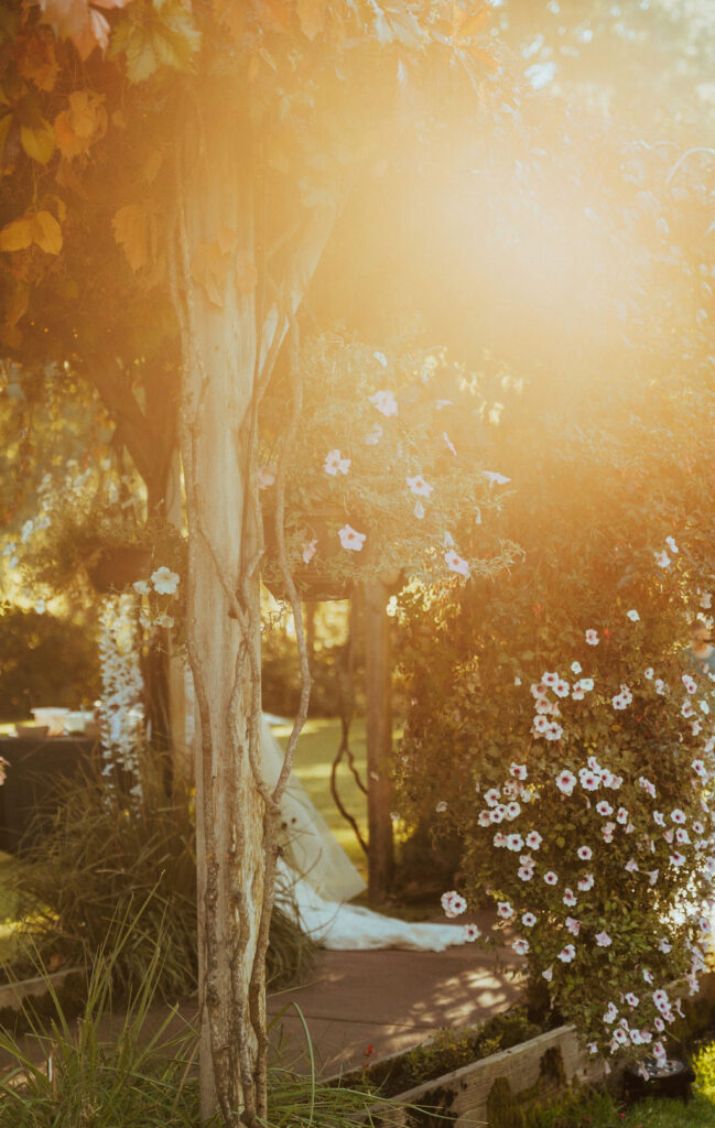 beautiful venue with bride and groom walking into reception with the river breeze and golden leaves