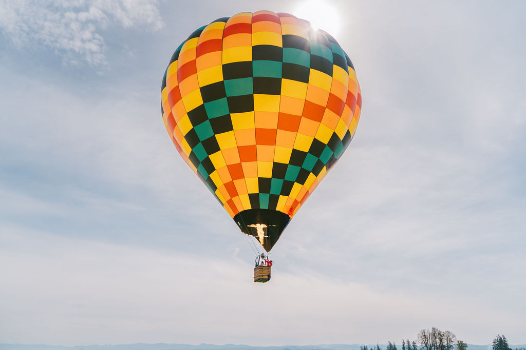 large yellow hot air balloon mommy and me photos